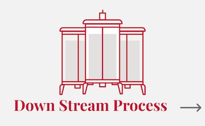 Down Stream Process