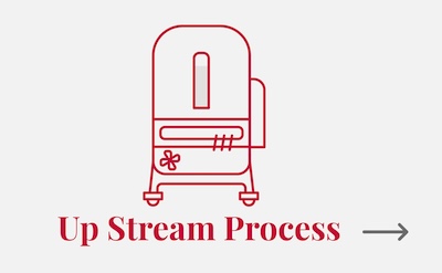 Up Stream Process